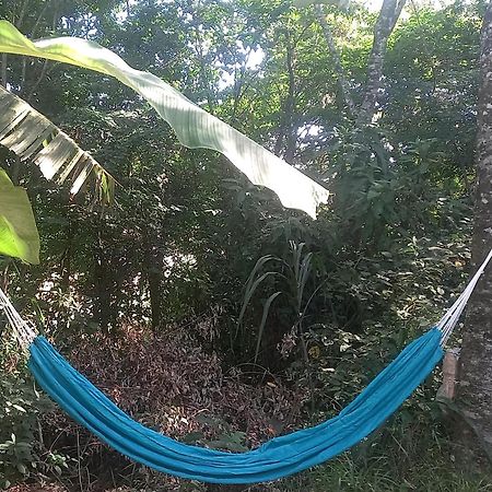 Casinha Acolhedora Da Mata - Rota Do Vinho Villa São Roque Kültér fotó