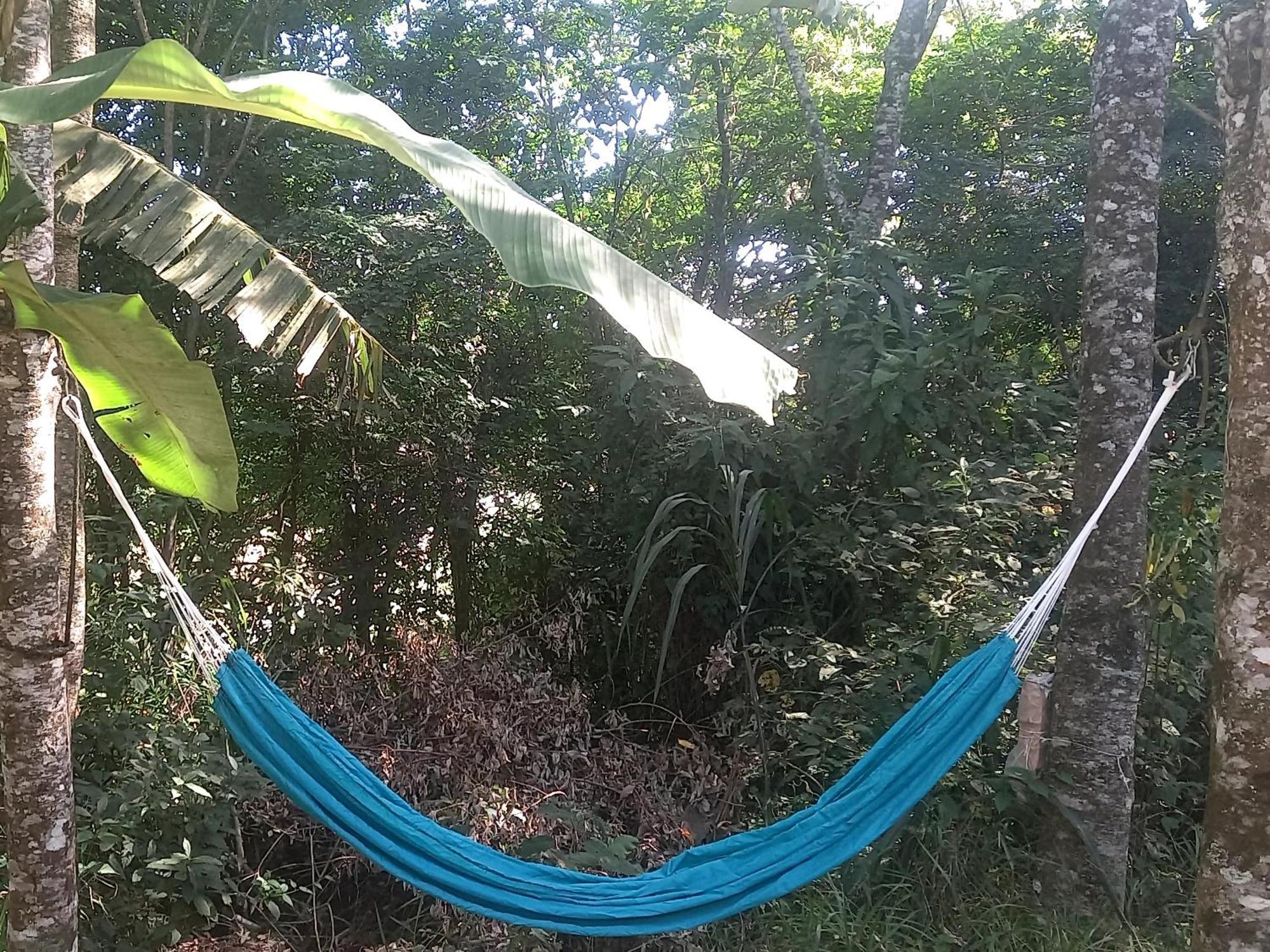 Casinha Acolhedora Da Mata - Rota Do Vinho Villa São Roque Kültér fotó